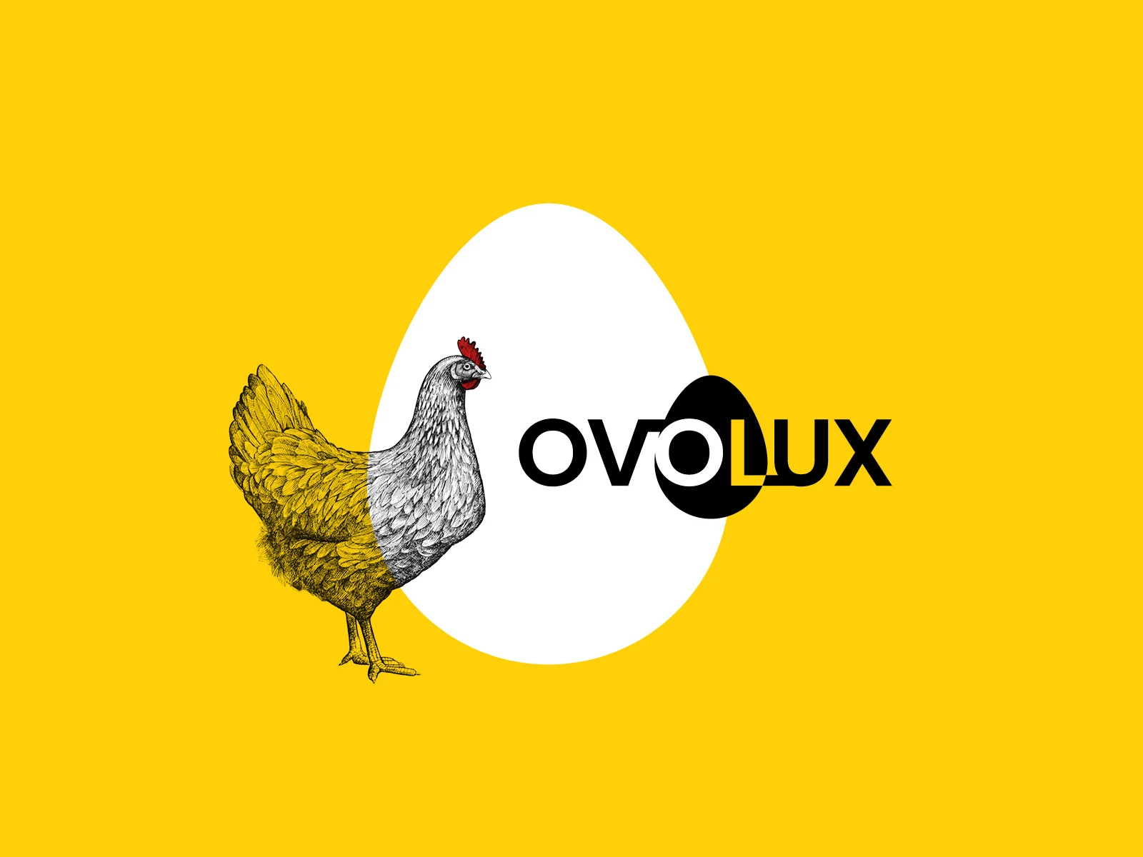 Image logo Ovolux