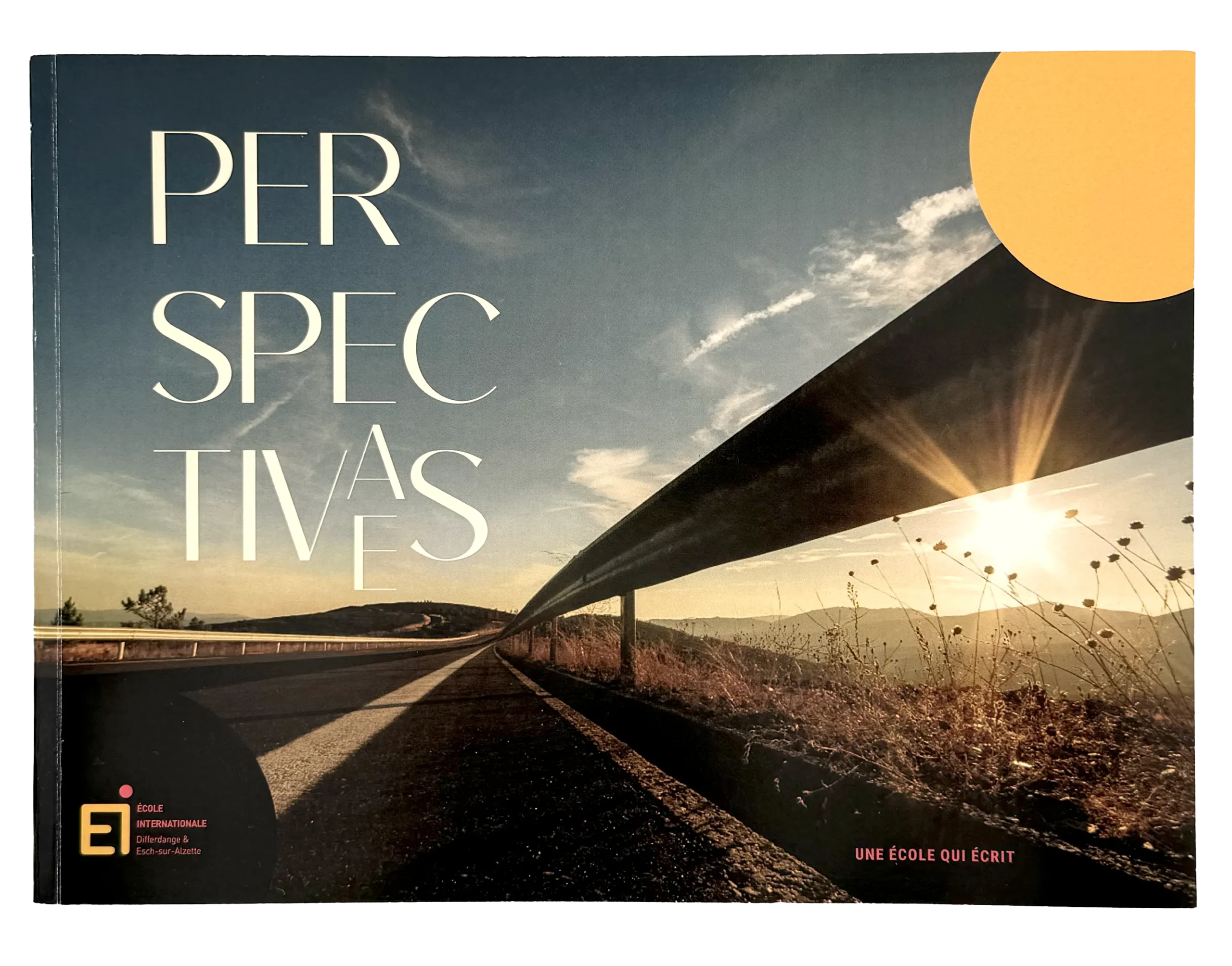 Image de couverture du livre Perspectivaes
